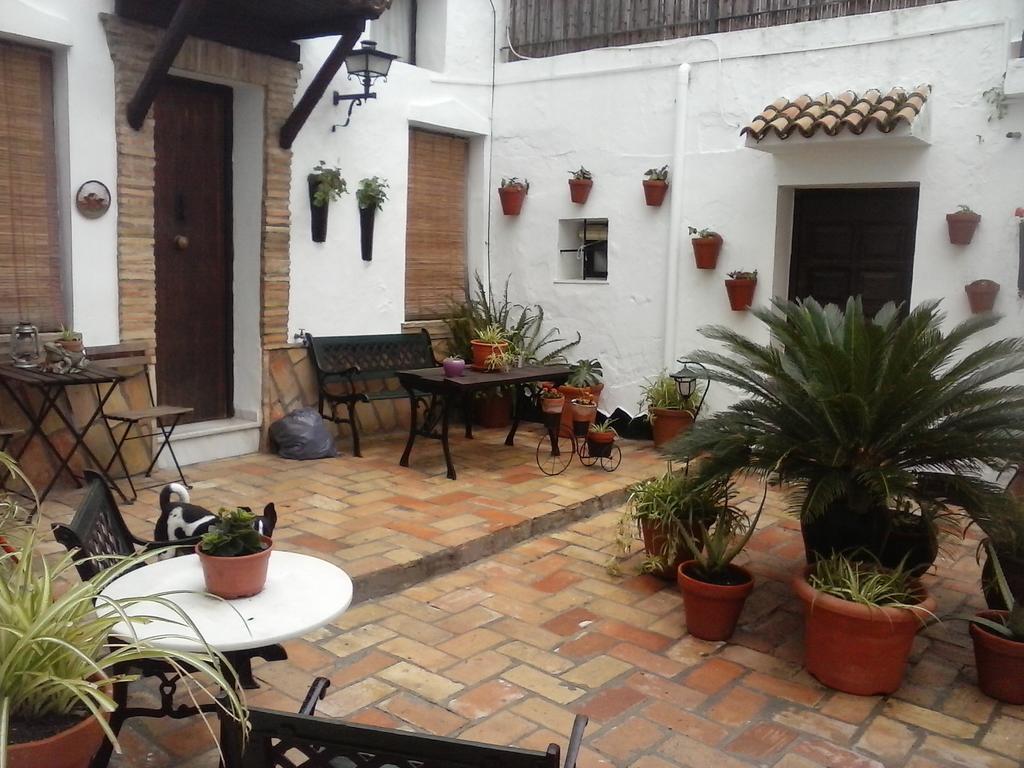 Casa Andrea La Abuela Apartment